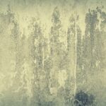 Muro con muffa visibile, evidenziando il problema e l'importanza di una soluzione efficace.